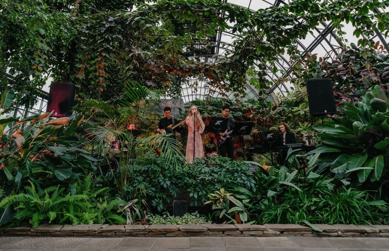 Музыка в оранжерее Таврического сада