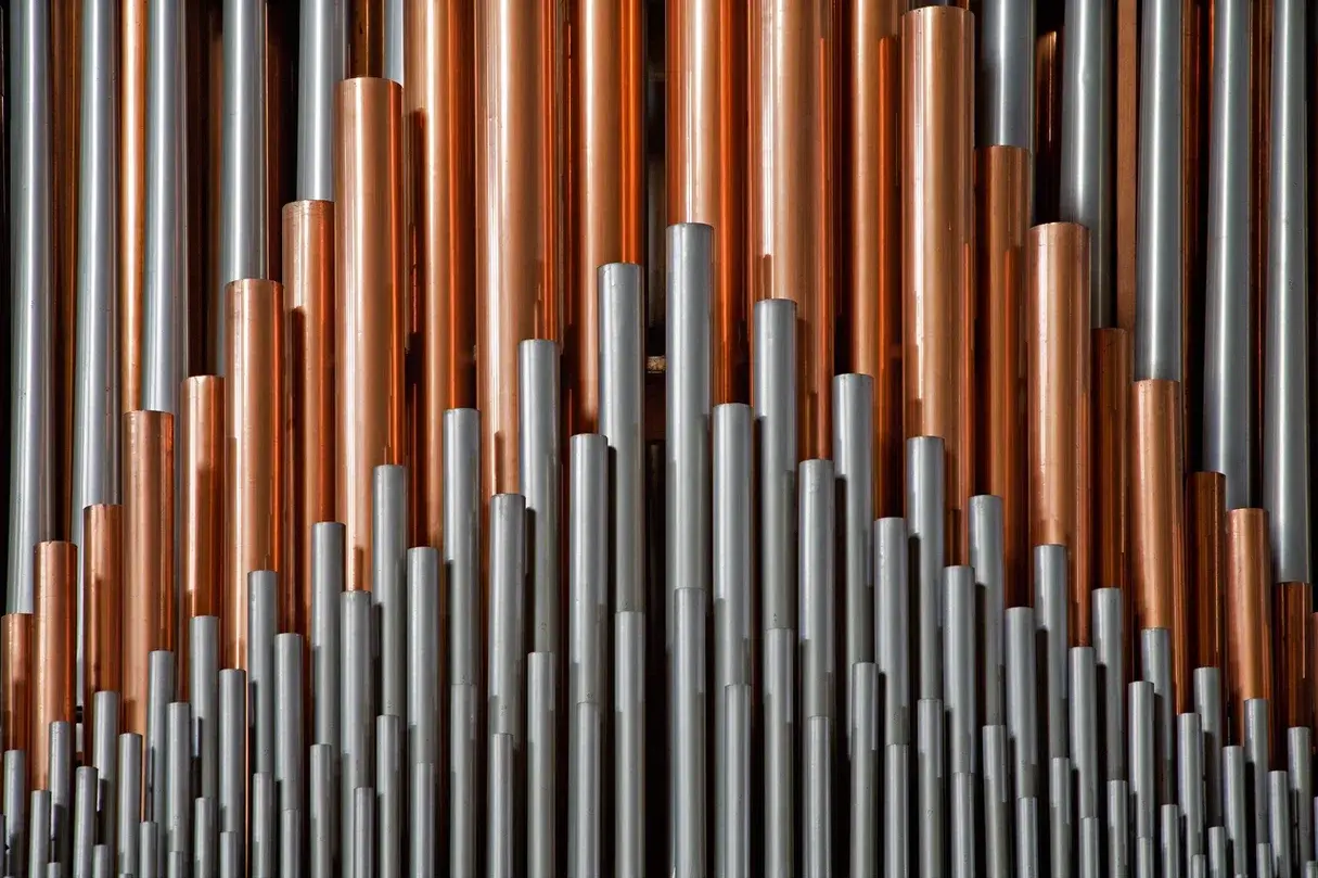 Орган плюс Голос: музыка для души